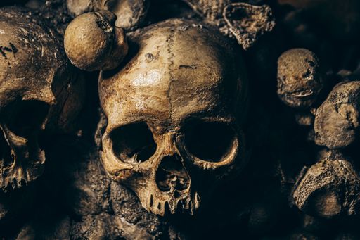 A top view closeup of various skeletons - Catacombs of Paris
