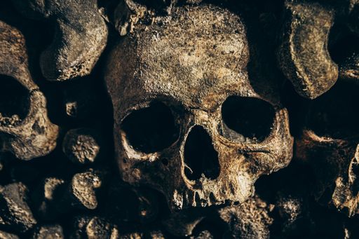 A closeup shot of damaged weathered creepy human skulls and bones