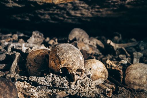A pile of a weathered old pile of human bones and skull pieces on a ground