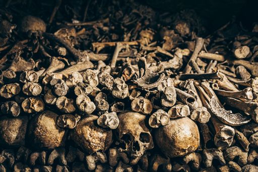 A pile of a weathered old pile of human bones and skull pieces on a ground