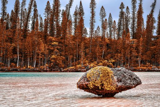 A beautiful view of a big moss-covered stone on the water with an autumn forest in the background
