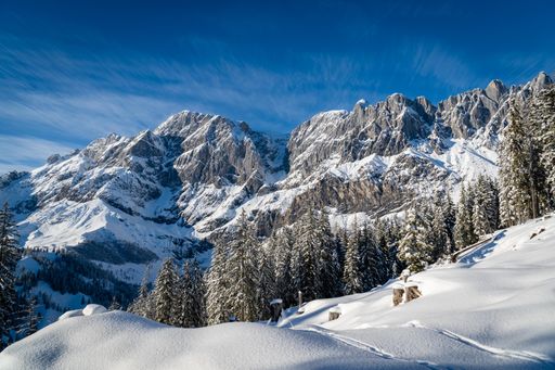 A scenic view of a pine forest on the foreground of the mountains covered in snow in winter in Hochkonig, Austria