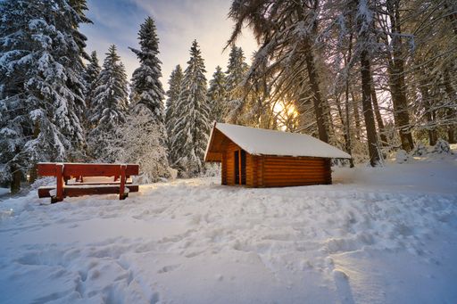 A wooden cabin and a bench in a snowy white forest