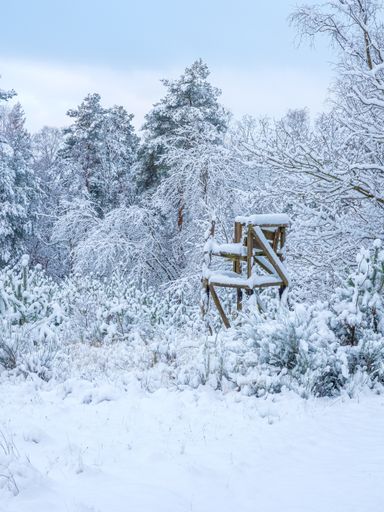 A vertical shot of an old wooden construction in the woods covered in snow in winter