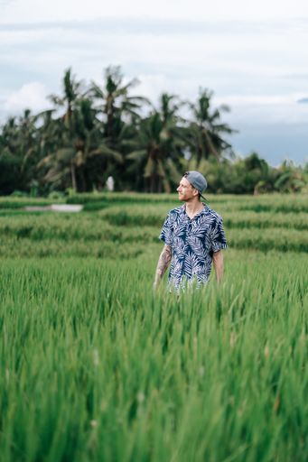 A vertical shot of a White man check the oat field Bali