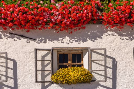 A photo of a vintage window of a white house with beautiful flowers in South Tyrol in Italy