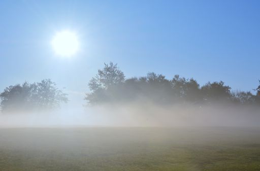 A low angle shot of the sun shining over the trees in a beautiful foggy forest