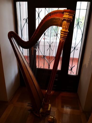 A harp in front of a window at home