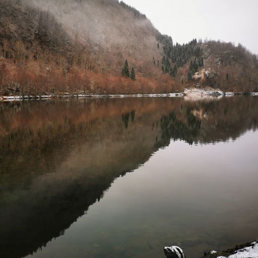 A beautiful view of trees reflected in the lake