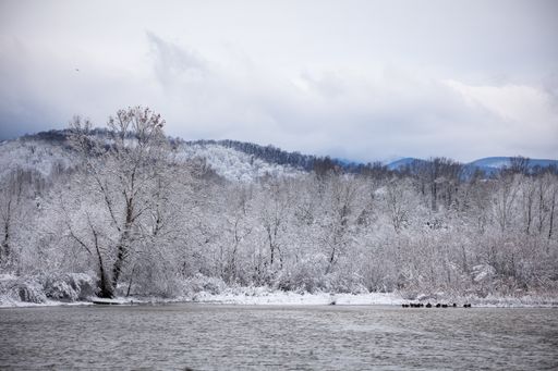 A snowy lakeside at the foot of the Shenandoah Mountains