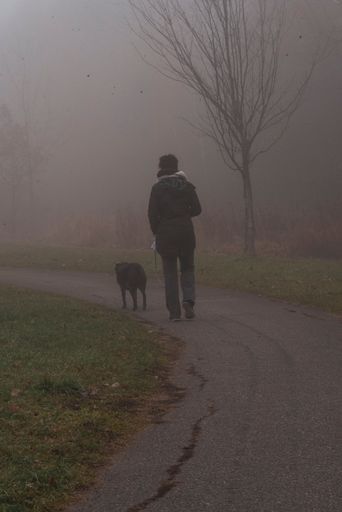 An adult male walking his pet dog on a sidewalk in a park shrouded in fog