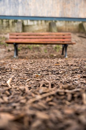 the vertical shot of a park wooden bench