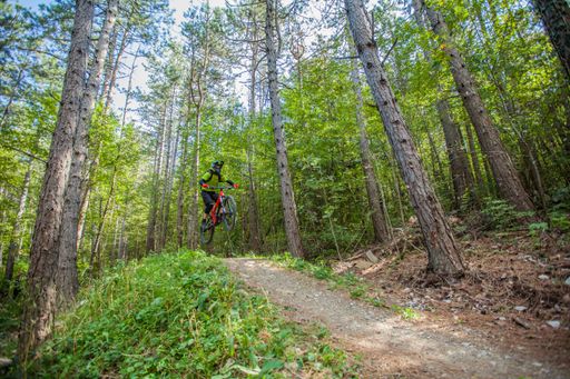 A mountain biker biking downhill on a bike trail at Bloke, Nova Vas, Slovenia