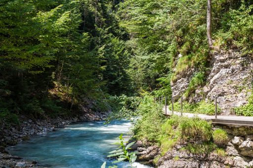 A nature landscape of a green forest with a beautiful river flowing