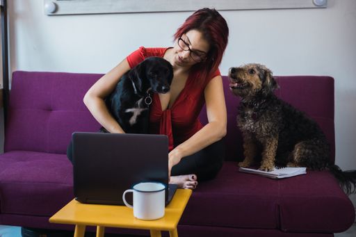 A closeup shot of a young beautiful woman sitting on the sofa with dogs in front of the laptop