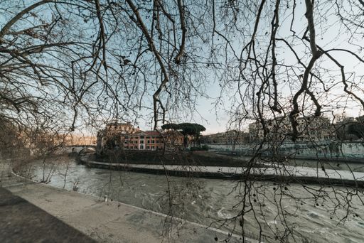 A beautiful scenery of Rome with a view of the Tiber river through the branches