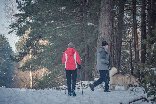 An elderly couple walking in a forest in winter near Vilnius, Lithuania