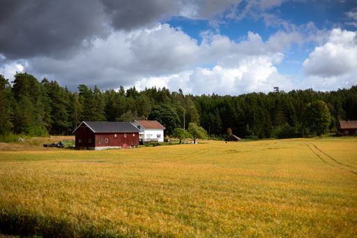 A house with a wooden barn surrounded by farm fields and trees under a blue cloudy sky in a village