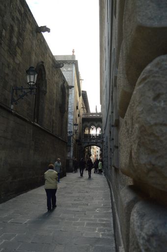 A vertical shot of the Carrer del Bisbe in Barcelona, Spain