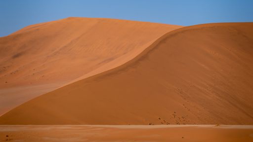 A beautiful view of the huge orange Sossusvlei Sand Dunes in Namibia