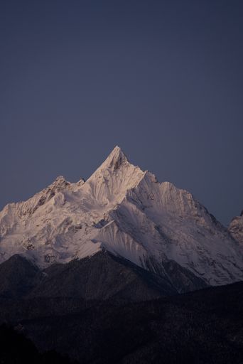 A vertical of a mountain peak covered with snow and green forest at the slope at sunset