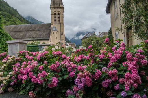 A scenic view of antique stone buildings surrounded by green plants and flowers in Isere, France