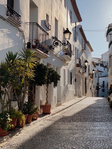 The typical Greek narrow sunlit alley with plants and white houses