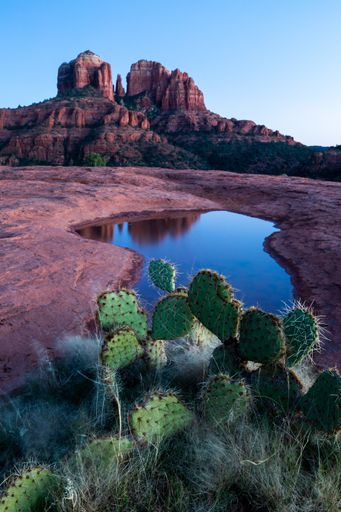 A small pool of water reflects the red rocks of Sedona, Arizona