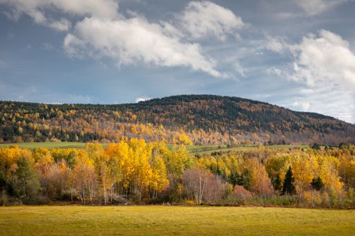 A beautiful view of the autumn landscape in Gaspesie, Quebec, Canada