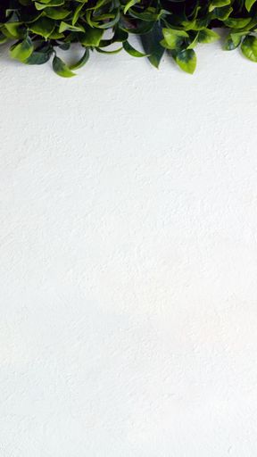 A closeup shot of green artificial leaves on the white wall