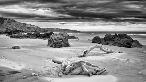 A grayscale of St. Cyrus beach, Scotland, on a cloudy day