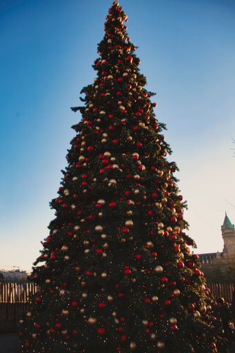 A vertical shot of the big Christmas tree decorated with different toy balls outdoors