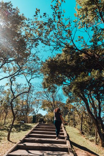 A vertical shot of a female walking through the Atlantic forest in Rio