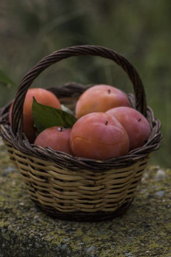 A vertical shot of ripe persimmons in the basket on a stone surface