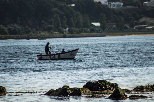 typical older man fishing with his boat on the coast