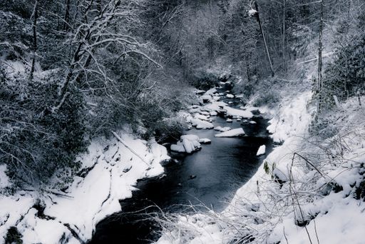A beautiful landscape of a running creek in a snowy forest with leafless trees