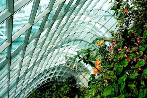 A low angle shot of the ceiling of the Binhai Bay cloud forest in Singapore with greenery underneath