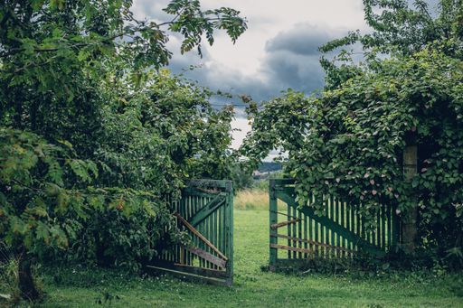 An open wooden green fence surrounded by green-leaved plants on a gloomy day