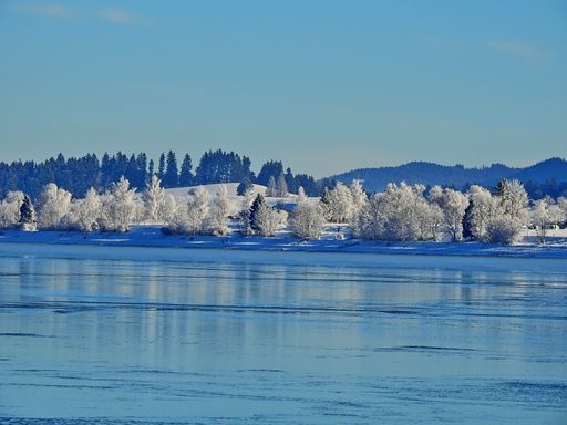 A river or lake surrounded by snowy trees and hills on a sunny winter day