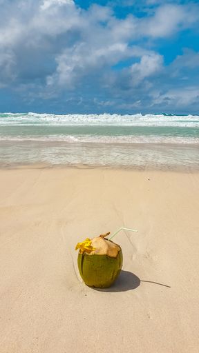 A vertical shot of a cocktail made in a coconut at a beach with the view of a seascape