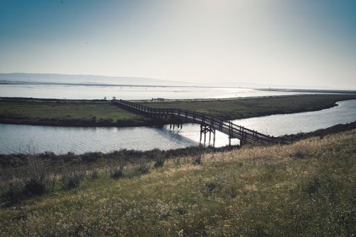 A beautiful shot of a bridge over a lake during the day