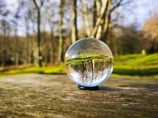 A closeup shot of a crystal ball placed in the floor of the forest
