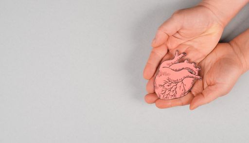 Woman is holding a red heart in her hand, world heart day, grey colored background, heartbeat, health issue