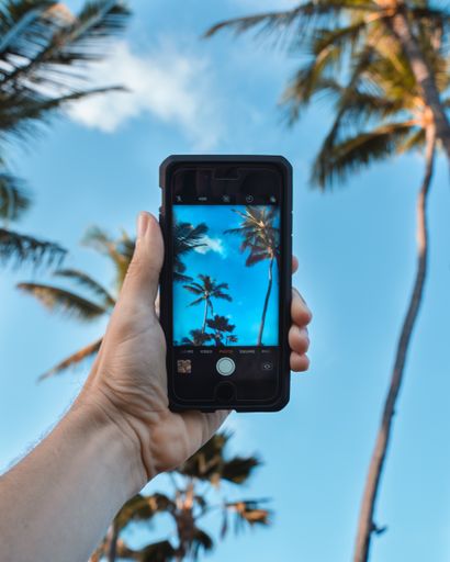 A vertical shot of a black smartphone taking a picture of the sky and palm trees