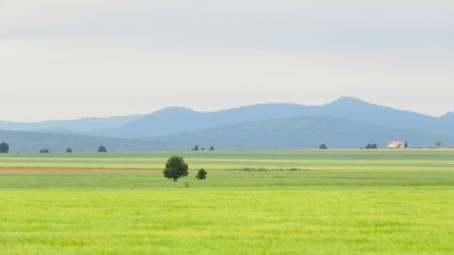 A landscape of a field surrounded by hills covered in greenery under the sunlight