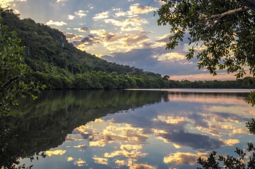 A beautiful shot of a landscape reflecting in the lake.