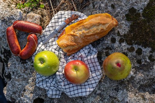 picnic in the countryside, sandwich, sausage and fruit eating on a rock in the forest