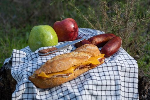 picnic in the countryside, sandwich, sausage and fruit eating on a rock in the forest