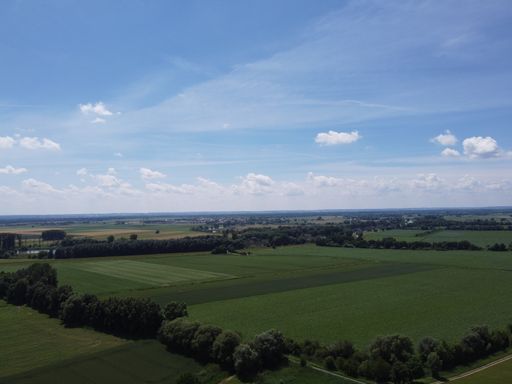 A beautiful shot of a green field during the day