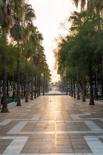 The Palm trees on the Belen street of the Rambla de Almeria at sunset, Andalucia. Spain